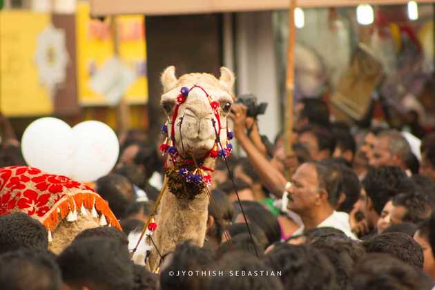 Buon Natale Thrissur 2014